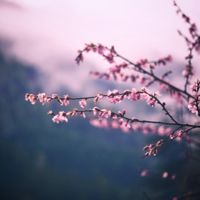 Spring 2023: From Flowers to…Cargo Pants?